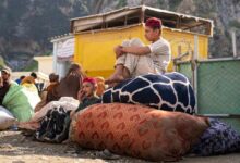 Photo of В ООН призвали Пакистан отказаться от принудительной высылки афганцев, нуждающихся в международной защите