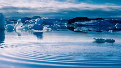 Photo of 2025-й: год климатических потрясений и рекордов