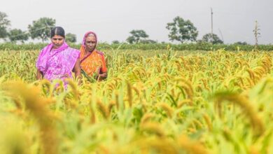 Photo of From organic farms to AI chips with a nose: UN summit showcases solutions for transforming the Global South