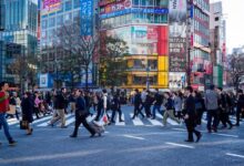 Photo of Cities now home to nearly half of humanity: UN report