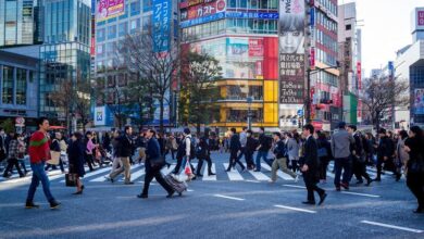 Photo of Cities now home to nearly half of humanity: UN report