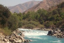 Photo of Таджикистан: природный заповедник «Рамит» включен в сеть биосферных резерватов ЮНЕСКО