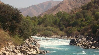 Photo of Таджикистан: природный заповедник «Рамит» включен в сеть биосферных резерватов ЮНЕСКО