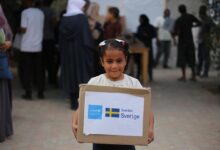 Photo of Security Council must seize ‘moment of renewed hope’ in Gaza