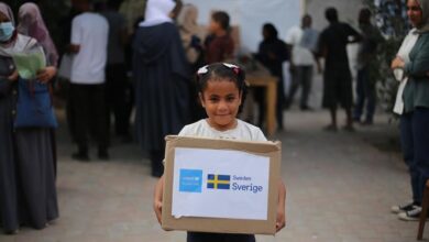 Photo of Security Council must seize ‘moment of renewed hope’ in Gaza