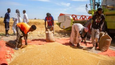 Photo of Глобальные цены на продовольствие снизились в октябре