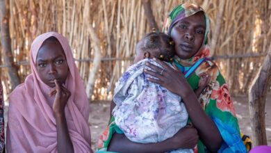Photo of Sudan war: Women endure starvation, rape and bombs fleeing El Fasher
