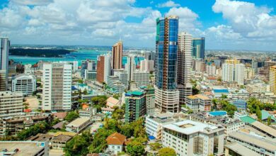 Photo of Tanzania: Reports of hundreds killed and detained following deadly election violence