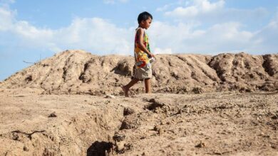 Photo of Protecting lives in a warming world: Health takes centre stage at COP30