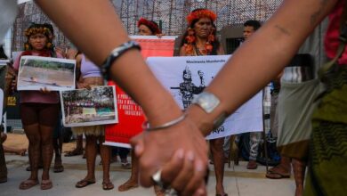 Photo of КС-30: климат и здоровье – две стороны одной медали