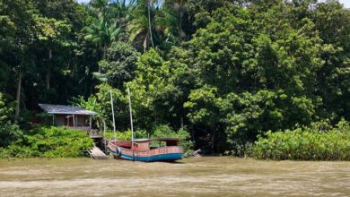 Photo of On Brazil’s Combu Island, chocolate makers hold clues to climate action
