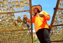 Photo of Workers face worsening inequality without urgent reforms, UN agency warns