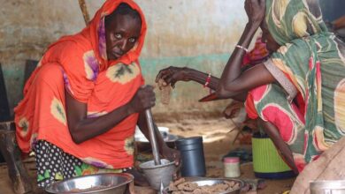 Photo of Tens of thousands fleeing on foot amid atrocities in Sudan’s El Fasher