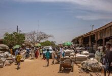 Photo of Nigeria: Hundreds abducted in the north as insurgent attacks rise