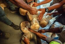 Photo of Millions of lives at risk, warn UN food agencies, as hunger crisis worsens