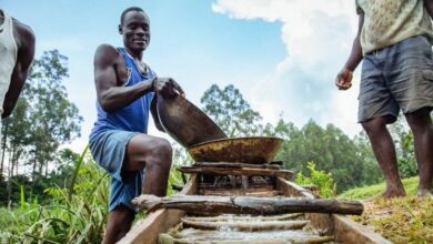Photo of Fresh push to fight toxic mercury pollution underway