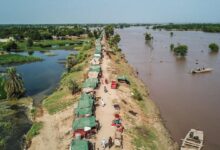 Photo of За три десятилетия природные катастрофы нанесли сельскому хозяйству ущерб в 3,26 триллиона долларов