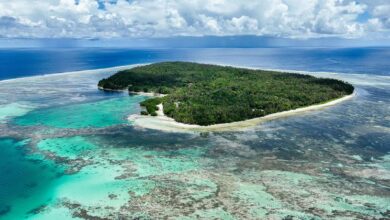 Photo of Holding on to home, as the ocean engulfs the Solomon Islands