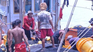 Photo of Millions in Asia migrate out of necessity as jobs and services fall short