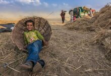 Photo of Doha Social Summit: Businesses, civil society walk side by side for fairer futures