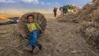 Photo of Doha Social Summit: Businesses, civil society walk side by side for fairer futures