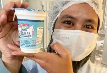 Photo of From milking stalls to mobile apps: UN-supported project powers rural revival in Indonesia