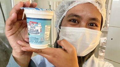 Photo of From milking stalls to mobile apps: UN-supported project powers rural revival in Indonesia