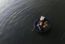 Photo of Not just dreams, but rights: Social justice in focus at Doha summit