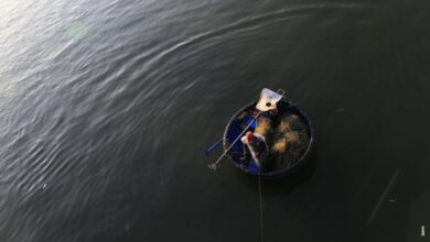 Photo of Not just dreams, but rights: Social justice in focus at Doha summit