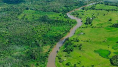 Photo of New Brazil-led fund aims to put forest protection at the heart of climate action