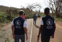 Photo of Nearly a third of Jamaica’s annual wealth wiped out by Hurricane Melissa