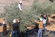 Photo of Crackdown on Palestinian civil society is reaching alarming levels, warns UN human rights office