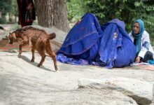 Photo of World News in Brief: Landmark disease and mental health declaration, Afghan hunger deepens, DR Congo refugee crisis