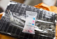 Photo of Record cocaine seizure in Haitian waters underlines country’s ‘pivotal’ trafficking role