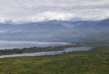 Photo of UN warns of ‘regional conflagration’ as DR Congo violence uproots 500,000