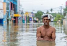 Photo of Главные новости дня | среда: Йемен, Судан, грипп, Шри-Ланка