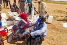 Photo of Sudan war: World urged not to ignore ‘gruesome sexual violence’