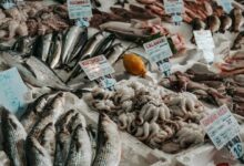 Photo of Средиземное и Черное моря: уровень переловa снизился до минимума за десятилетие, однако опасения сохраняются