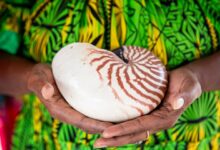 Photo of Five climate trailblazers: UNEP’S 2025 Champions of the Earth