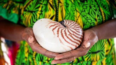 Photo of Five climate trailblazers: UNEP’S 2025 Champions of the Earth