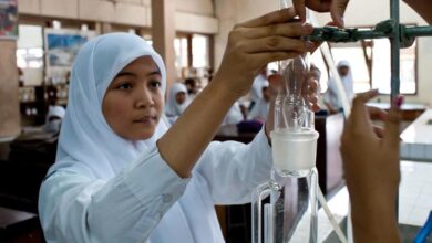 Photo of Millions of jobs at risk in Asia-Pacific as AI adoption surges in wealthy nations