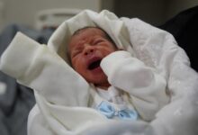 Photo of Gaza’s babies ‘scarred by war before first breath’ by malnutrition