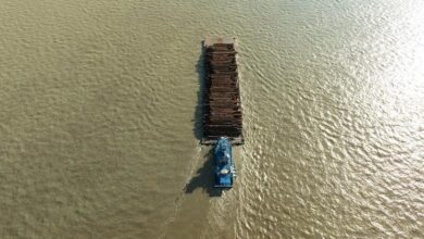 Photo of UN deal delivers a smoother ride for global trade