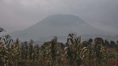 Photo of UN hails DR Congo-Rwanda peace deal amid ongoing hostilities in the east