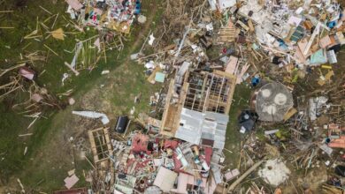 Photo of Fifty days on, Jamaica struggles to rebuild after Hurricane Melissa’s unprecedented destruction