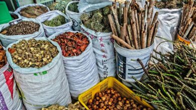 Photo of Traditional medicine use is now a global reality: WHO