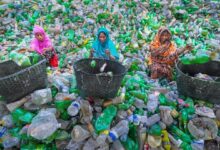 Photo of A sustainable future requires new thinking: UN environment report