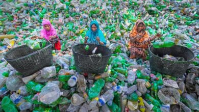 Photo of A sustainable future requires new thinking: UN environment report