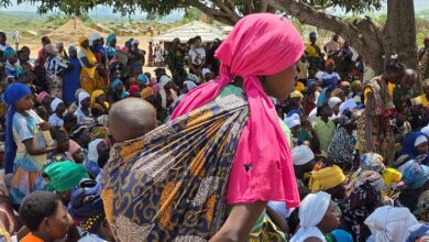 Photo of Mozambique’s displaced facing massive needs as attacks intensify