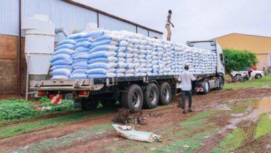 Photo of World News in Brief: Food insecurity triples, Mozambique aid boost, Uganda elections alert